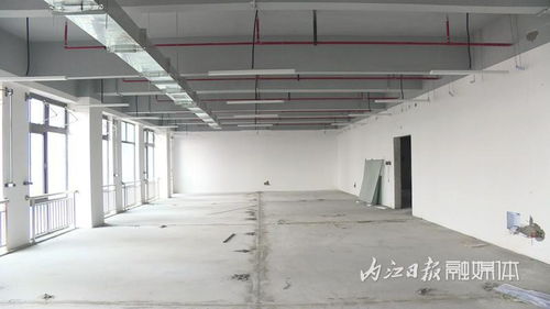 跑出“加速度”，內(nèi)江軟件與信息技術(shù)服務(wù)外包產(chǎn)業(yè)園一期項目建設(shè)進度條已達95%